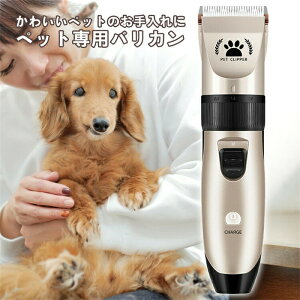 poJ ybg g~O ybgp oJ Nbp[ EL [d ֗ dNbp[ [d LED[d\ ᑛpybgp Lbg lRLpoJ[d R[hX wA