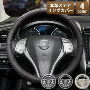 nhJo[ y {v STCY   ʎ  O^ 38cm XeAOJo[ v XYL z_ g^ Y }c_ _Cnc