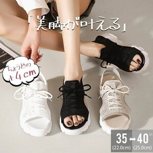 T_ fB[X  bV X|[cT_ ʋC ؍ JWA ₷ Xj[J[ V[Y C