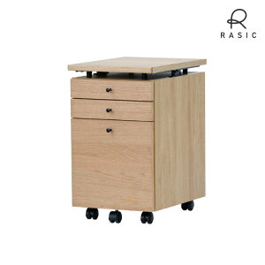 S wKS ؐ Vv LX^[ I[N 35 fXN[ o FERRO WAGON 35 (WO-V-NA-BK)