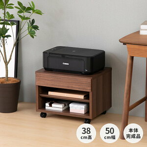 v^[ v^[ [ S v^[S v^[bN 50 38 ؐ A_[  Vv 2F LX^[ p\RfXN i PURE PRINTER CART 50 H38 ISSEIKI