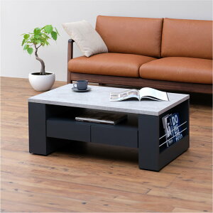 Z^[e[u e[u [e[u o [ rO  O[ uE RN[g k _ Vv LX^[  V[g HORNET CENTER TABLE 100 ISSEIKI