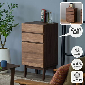`FXg rO{[h bN 43 ^X \y o bN db [^[ EHibg i ؐ FACT LIVING BOARD 43(WALNUT) CeA  Ƌ isseiki