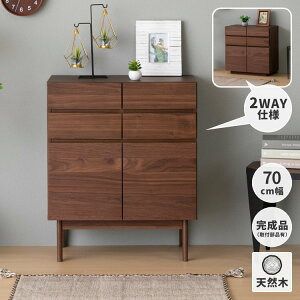 rO{[h bN 70 ^X \y o bN _CjO db `FXg EHibg i ؐ FACT LIVING BOARD 70 (WALNUT) CeA  Ƌ isseiki