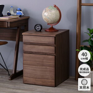 yԌ3000~zfXNS LX^[ v^[J[g i 42 ؐ EHibg k 3i wK ݑ o FRINK WAGON 42 (WALNUT) CeA  Ƌ wj issei
