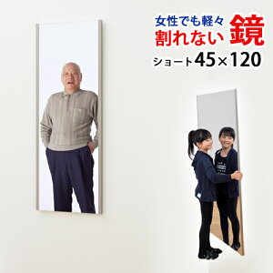 yiE͑ΏۊOjzyʁES@Ȃ@utFNX~[ [tB~[] v@@V[g^Cv@45×120cm@yp/Sg//Ǌ|/Ch/X^h~[/t