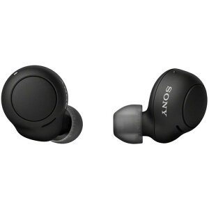 �\�j�[(SONY) ���S���C�����X�C���z�� WF-C500 : /�y�ʏ��^5.4g/�����x�ʘb�i��/�ȒP�y�A�����O/IPX4�h�H���\/�u���b�N WF-C500 BZ