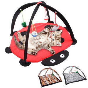 CANPLUSL2in1ߋC^NeBuL炵݂グ{[lY~}bgNbVxbh܂肽ݎyʊ~ߔLQLpiybgpiqLlVщ^sg[jOc