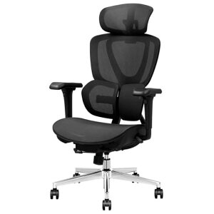 FLEXISPOT�I�t�B�X�`�F�A�f�X�N�`�F�AC8�l�ԍH�w�G���S�m�~�N�X�`�F�A���b�V���`�F�A2WAY�����K�������o�[�T�|�[�g�w������̍������߃V���N�����b�L���O3�i�K�Œ���ʉ��s����3D�A�[�����c