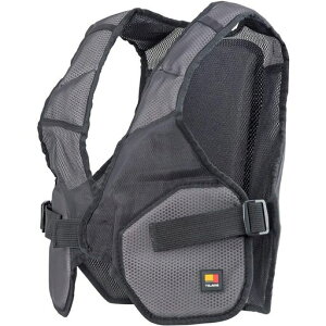 ^W}(Tajima)SуCi[pbgCKRt[TCYCKR-IPF