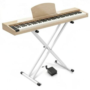 �y��p�X�^���h�t���zLongeye�����A�C�d�q�s�A�m88���Չ��ǂ�������MOLD2�ؐ��{�f�B���{��\�LMIDI�[�q�Ή��y�_���t��380��މ��F�ڒ��A���g���m�[���@�\�t��DREAM�������S�ҁA���K�Ƀs�b�^�c