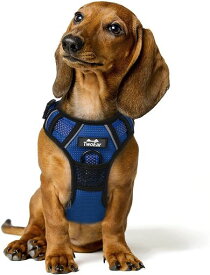 TWOEAR 犬 ハーネス 犬用 胴輪 引っ張り防止 全面反射材 調整簡単 通気 メッシュ 小型犬 中型犬 大型犬 (ブルー S)