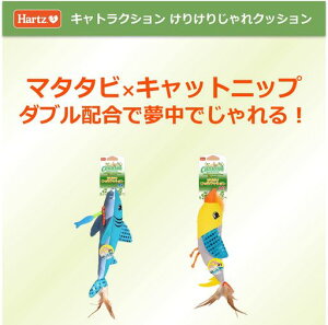 LgNV肯肶NbVLpʂ݃g|n[c(Hartz)|܂уLbgjbvWzŖ!|lRLbN