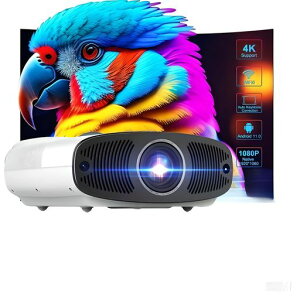yPx50000LM1300ANSIV݂ΉGoogleTV/NetflixځzvWFN^[150C`eՂ낶[ƒp1080P邢łgvWFN^[rWlXAI쎩tH[JX