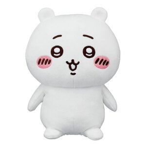 WCpbg(JOYPALETTE)ĂĂςς8܂˂҂傱