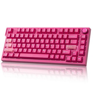 YUNZII RT75 PRO ���C�����X�Q�[�~���O�L�[�{�[�h ���s�b�h�g���K�[�L�[�{�[�h �z�[������ ���J�j�J�� ���C�X�C�b�` Bluetooth/USB-C/2.4G�ڑ� �f���A��8KHz�|�[�����O���[�g&128K�X�L���� �����\�c
