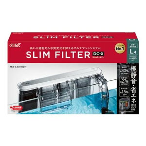 GEXXtB^[DC-XL4O|tB^[DC-X|vÉȃGlLTCY