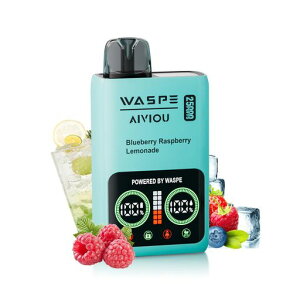 dq^oRĝăxCvWASPEvape25000z։pC|{̐C^oRV[V^650mAhType-C[d\jR`^[(25000u[x[Yx[l[h)