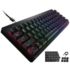�G���R�� �Q�[�~���O�L�[�{�[�h �L�� V-custom VK300S RGB �e���L�[���X 65%�T�C�Y ���J�j�J�� �l�I�N���b�`�L�[�L���b�v �⎲ �X�s�[�h���j�A USB�|�[�g���� TK-VK300SBK