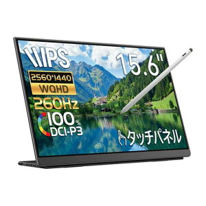 EHOMEWEIoCj^[260Hz2K^b`pl15.6C`^b`yΉSwitch2P[u{ŊȒPڑ2560x1440y^u100%DCI-P3^Q[~OType-CیtBP[Xt