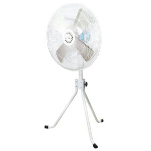 H(NichidoInd)^Hho^A[Xt|bLvOdlK-C600E