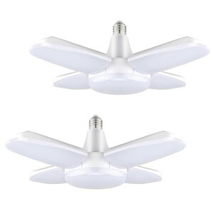 LEDK[WCg2480Wy_gCgV[OCg4px߉\ȃGlԏqɃWȂǂɑΉƓ܂肽ݕό`\