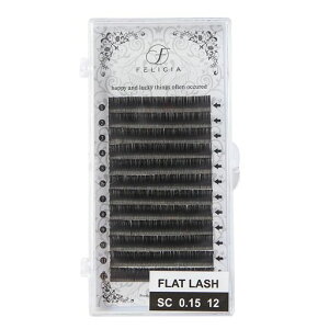 FELICIAtbgbV}bg܂GNXeɏ_炩VO}cGNACbVSCJ[0.1512mm