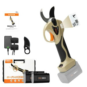 BraveMonkeydoT~y32MMؒfa[dgK[A@\LEDfBXvCڃR[hXnT~tSR[fBOn2000mAheʓdrtPSEF؎擾ςBM-03