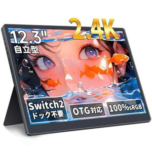 HAILESI���o�C�����j�^�[12.3�C���`2.4K2400x1600Switch2�h�b�N�s�vOTG�Ή����o�C���f�B�X�v���C3:2��ʔ�100%sRGB�L�F��HDR380nitIPS�p�l�������^���y�ʎ����^