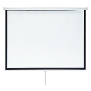 �T�����T�v���C�v���W�F�N�^�[�X�N���[��(�݂艺����)85�^PRS-TS85