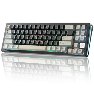 YUNZII AL71 68% �Q�[�~���O�L�[�{�[�h �t���A���~CNC �z�b�g�X���b�v�Ή� ���� �K�X�P�b�g ���J�j�J���L�[�{�[�h NKRO 2.4GHz���C�����XBT5.0/USB-C �L�� RGB�o�b�N���C�g Win/Mac�p �����蕨