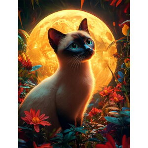 Fluiddragon_ChA[g5DUCNA[g_CAhr[YGLbgDIYEG|Lbg_ChhSʓ\t^Cv|Lbg(259)