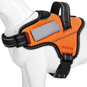 y{挢n[lXzBaoChengp֏^/^/^n[lX΍AɗDȐFʋCSȂl[v[g7FI(IWAM)