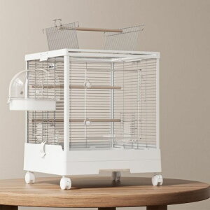 RuexueXeXybgP[W(VOC[)AN_ubN݌vϋvEhK|ȒP@\g-CRKp(45x45x57.5cm)