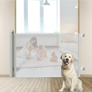 cukulifeݎxr[&ybg[Q[g܂肽ݎő180cmΉ/Ki/LpbN@\ttȒP(Jsv/ʃe[v)bVfގqSybg?h~Rc