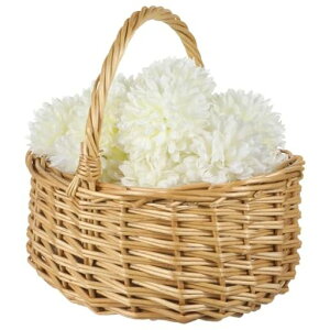 HOLIDYOYOoXPbg҂݃oXPbgI[onhtِԉŎ[َqʕt[cp[ꐅ􂢖Opi