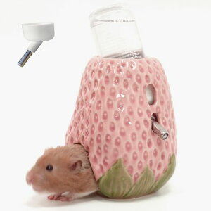 ZaposccanX^[{g[{[炵C`S^펩݊퐅Rh~肵+80mlŋ{gwbh2t2WAYnX^[nlY~XȂǂ̏c