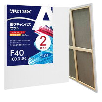 楽天市場】張りキャンバス F80の通販
