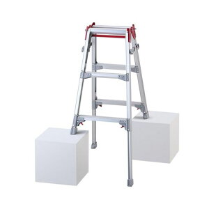 ���J��H��(Hasegawa)�͂������p�r���r���L�kRYZ-09d0.72~1.03m(10885)