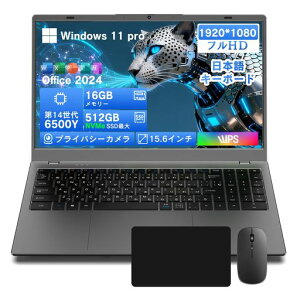 �m�[�g�p�\�R�� �y�� Windows 11 Office 2024���� 15.6�C���` 1920x1080 IPS�t�� WEB�J���� ���^Dobios�m�[�gPC ��14���� 6500Y �yN5095��AMD 3020e��葬���z Wi-Fi5