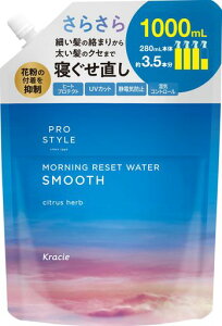 vX^C[jOZbgEH[^[(QȒEH[^[)X[Xlߑւe1000ml|wAEH[^[wA~XgwAPAX^CO炳VgXn[u