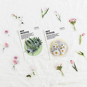 160シールフレークシールフォーチュンシリーズ手帳風可愛い女の子男の子デコレーションノート美化diy合成パターン接着剤学用品事務用品バッグ小80枚(チューリップ緑の植物小さなデイジ…