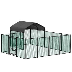 BingoPaw{LbgOp{P[W^tFXhJo[t{ɃAqT[NhJO{Bp|₷hAt10[g