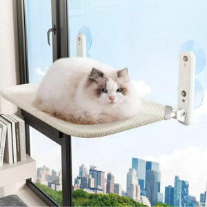 maodurfulLxbhnbNω׏d20kg͋zőLΉ܂肽ݔLxbhXgX//xeplGp(x[W)