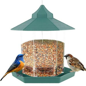 Fanaticalpurchasejpo[htB[_[쒹a䉮t݉aꂦ䒹ao[hEHb`O쒹ώ@K[f(O[)