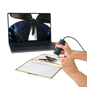 IPEVOP2VULTRAオブジェクトカメラ1センチまで超マクロ撮影が可能、4K/13MPカメラさまざまな用途に合わせて、ハンドヘルドウェブカム又はドキュメントカメラとしても使用可能