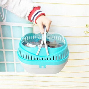 GiftyybgL[傫L[obOL[P[Xbg``łL[ʉ@AȈړKL[L[P[W(Fws)