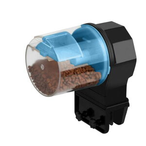 aFAJIAَtB[_[^N^C}[tB[_[dC\ȋ̉a蓮/aBlack&Blue