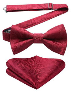 [HISDERN]CbhlN^ClY^b`ԃ`[tZbgtH[}yCY[{E^CȒPE߉\bowtieBR-01