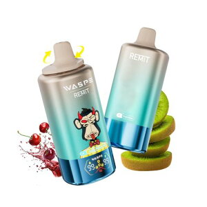 �yWASPE100000�z�d�q�^�o�R�g���̂�Waspe&Remit100000�p�t�X4in1�f���A�����b�V���R�C��Type-C�[�d�����^�уV�[�V��10�t���[�o�[�l�C�j�R�`�������^�[�������x�C�v